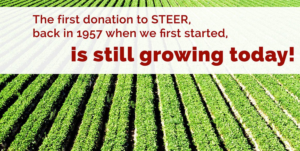 First donation to STEER is still growing today
